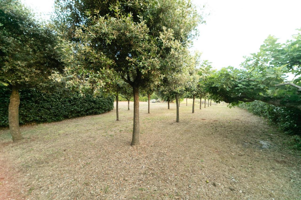 Villa Dimora Beatrice Martina Franca Esterno foto